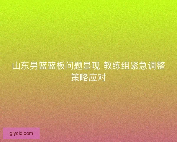 山东男篮篮板问题显现 教练组紧急调整策略应对